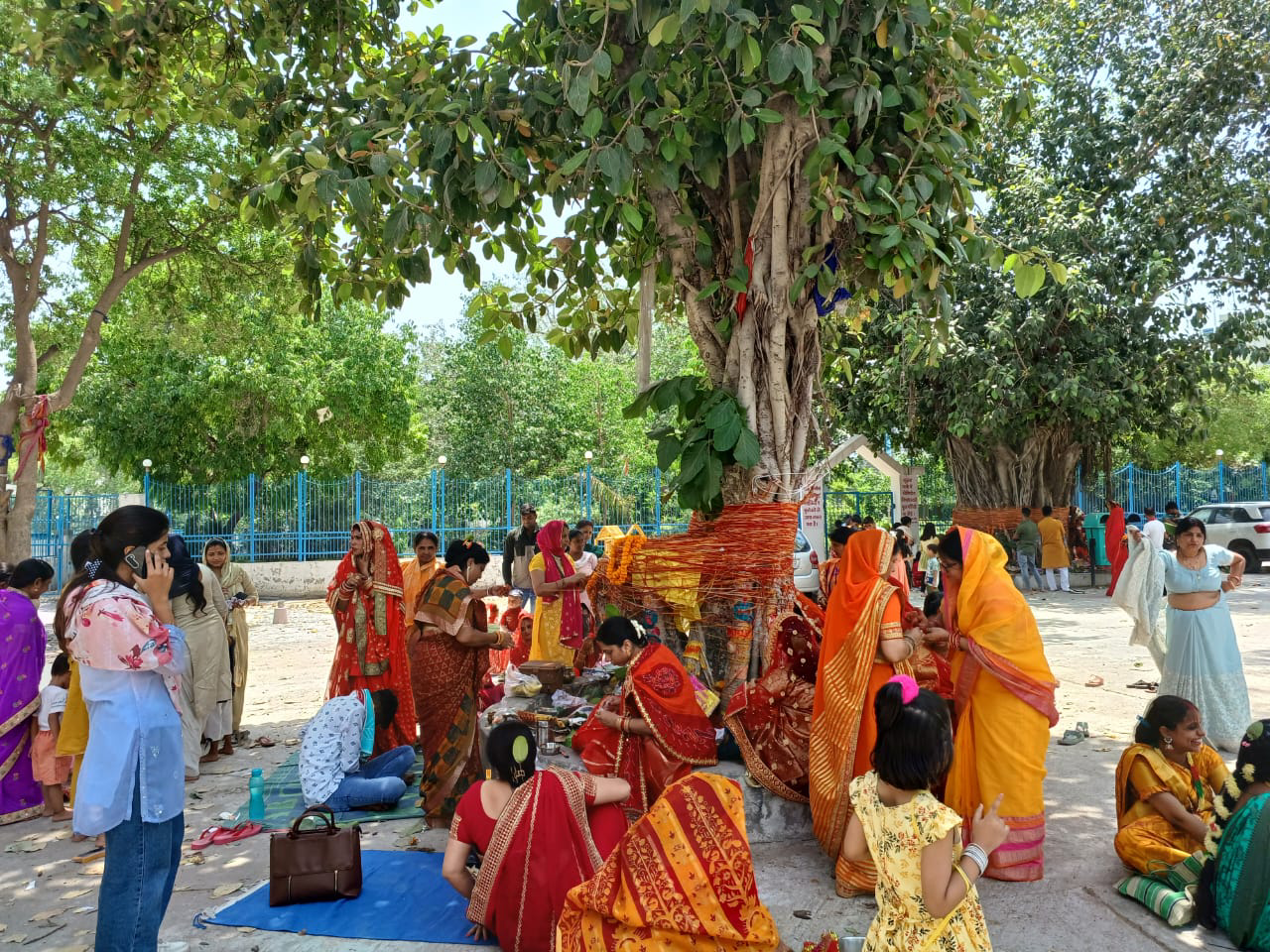 Media Image 2a
